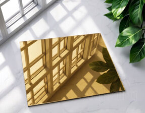 Golden Mirrors